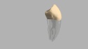 BIOMED 3D Tooth - Ząb treningowy - 28 Premolar