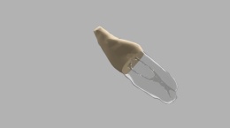 BIOMED 3D Tooth - Ząb treningowy - 25