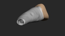 BIOMED 3D Tooth - Ząb treningowy - Centralny siekacz 1,4 mm otwarty wierzchołek